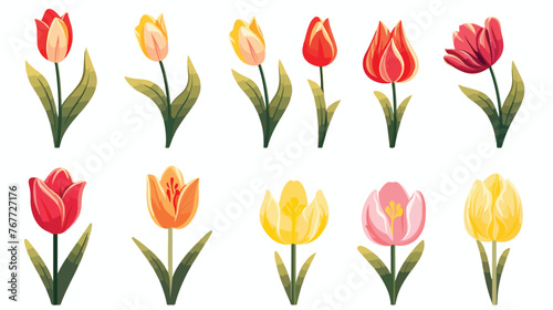 Tulips flowers natural Flat vector