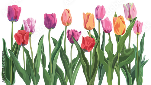 Fototapeta Naklejka Na Ścianę i Meble -  Tulips flowers natural Flat vector