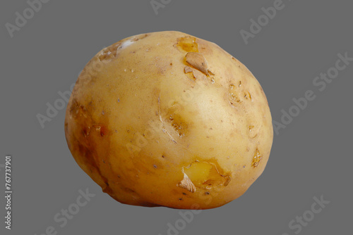 Tuber, root of potato vegetable.