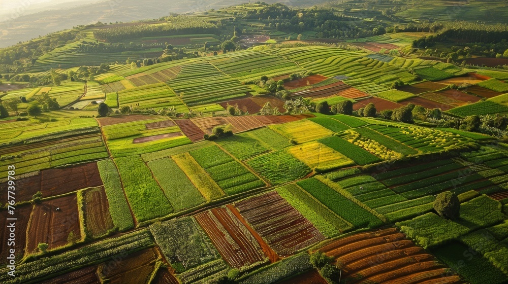 Fototapeta premium Aerial View of Lush Green Field