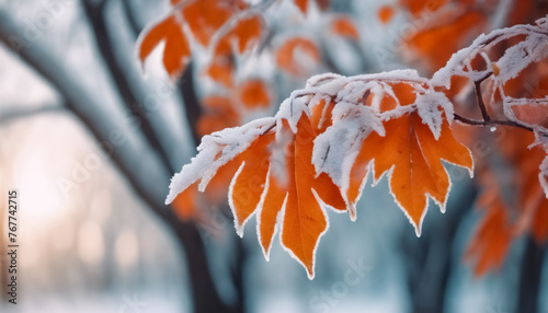Eleganza Gelida- Natura Colorata con Foglie Arancioni Coperte di Ghiaccio all'Inizio dell'Inverno