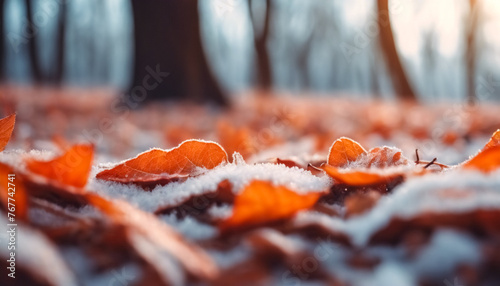 Ghiaccio Dorato- Incantevole Natura Colorata con Foglie Arancioni Coperte di Ghiaccio photo
