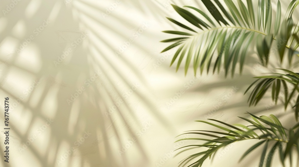 Fototapeta premium Blurred shadow from palm leaves on light cream wall. Minimalistic background for product presentation
