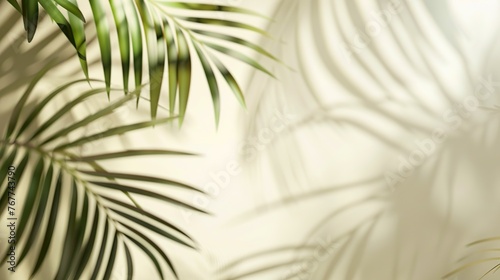 Blurred shadow from palm leaves on light cream wall. Minimalistic background for product presentation