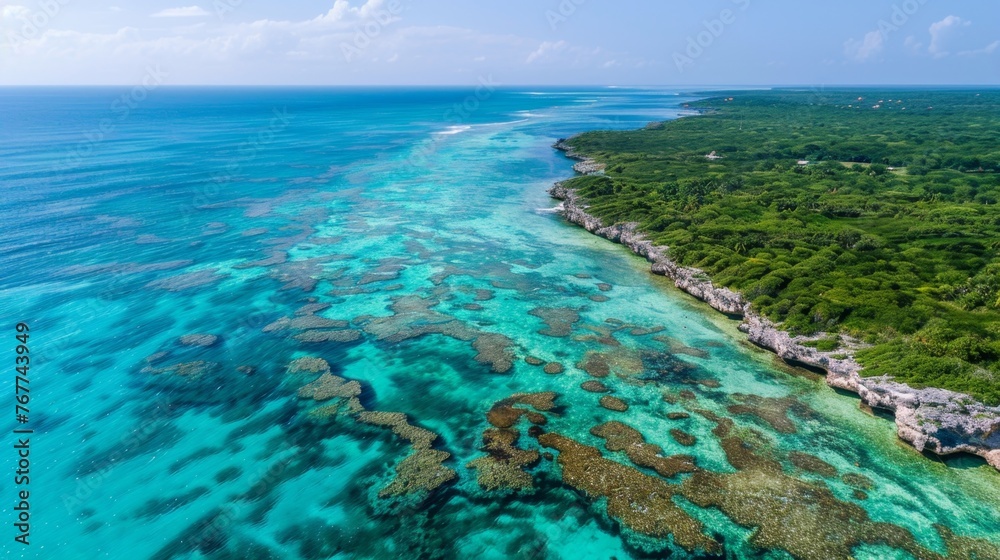 Aerial View of Coral Reef in Open Ocean