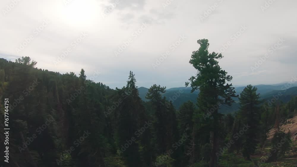 Alpine landscape in summer. Point of view of the chairlift traveling over the green forest in the mountains. View of the lake and village in the background. Alpine landscape in summer. Point of view of the chairlift traveling over the green forest in the mountains. View of the lake and village in the background.