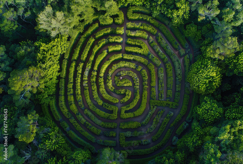 A labyrinth made of hedges in the middle of an enchanted forest  an aerial view  a small figure is lost among them