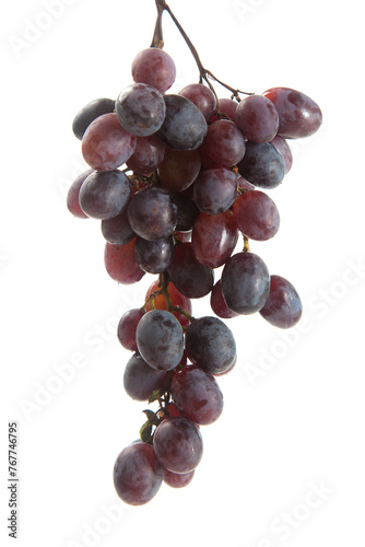 Bunch of organic black grapes isolated on white background.