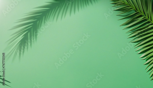 3d render  simple abstract green background illuminated with bright sunlight  with palm leaf shadow. Modern minimal showcase scene for product presentation colorful background