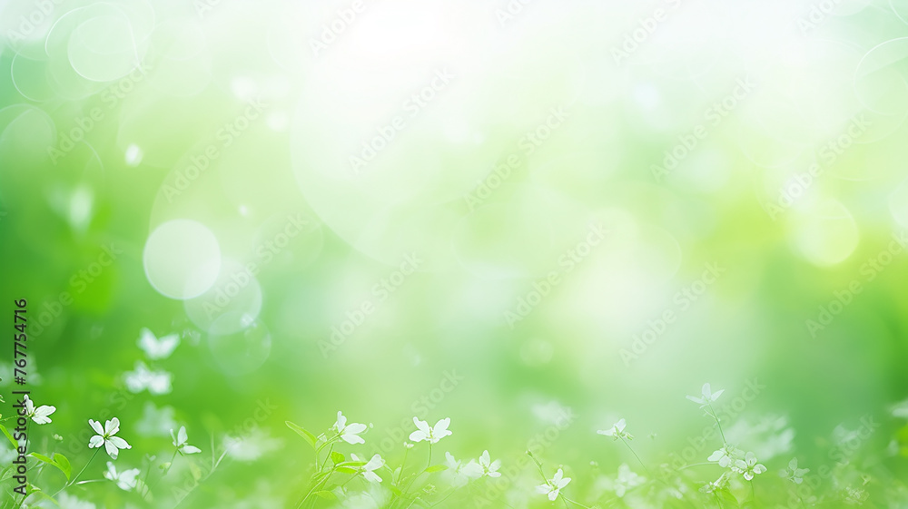 White wildflowers among greenery in the sunlight, a postcard on a spring background White wildflowers among greenery in the sunlight, a postcard on a spring background