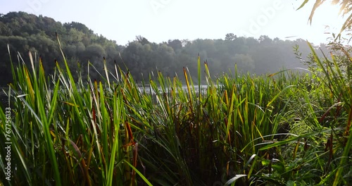 river,   water with waves in the river withtrees  on the river bank photo