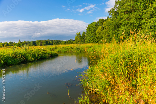 Fototapeta Naklejka Na Ścianę i Meble -  Beautiful landscape with trees And the river in a summer Ozertso village