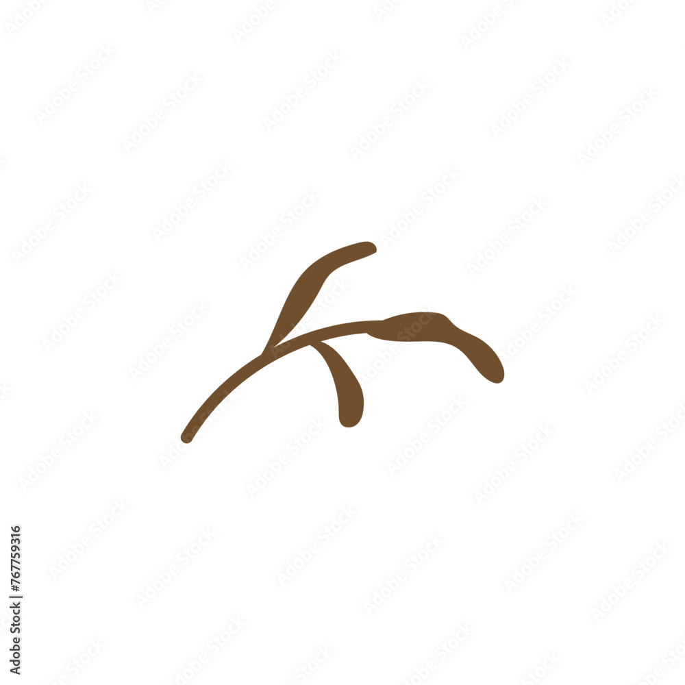 Botanical vector illustration: a dry brown blade of grass with leaves on a white background Botanical vector illustration: a dry brown blade of grass with leaves on a white background