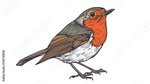 Embroidery robin bird on blue denim background. Vector © Mishab