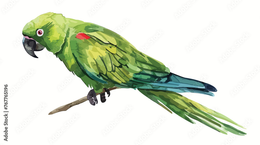 Green tropical parrot drawing in watercolor tropical