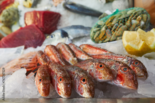 Red mullet and seafood displayed in a display case ready to eat in a restaurant, Malaga. Spain
