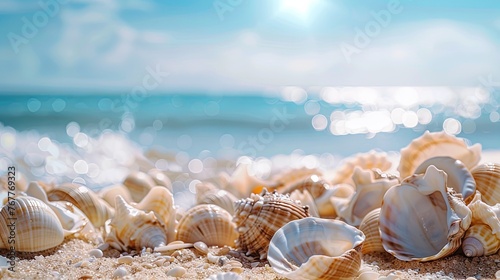 Vacation summer holiday travel tropical ocean sea panorama landscape - Close up of many seashells, sea shell on the sandy beach, with ocean in the background Mental Health Practice.