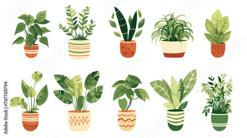 Houseplants Watercolor Kawaii Flat vector 