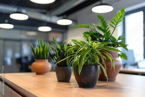 A line of potted plants arranged neatly on a wooden table in a minimalist office setting