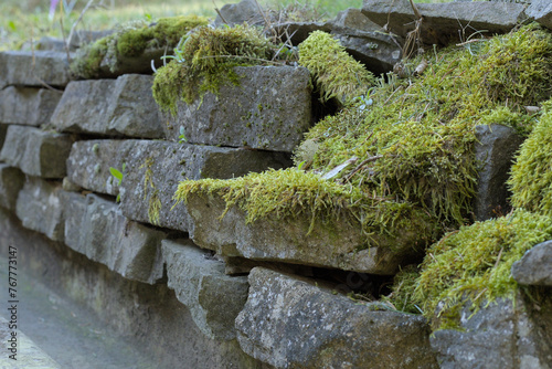 stacked flat stone overgrown with moss