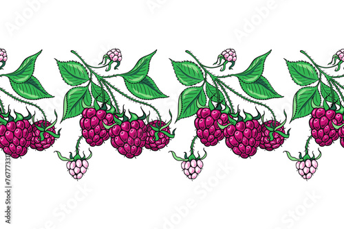 Raspberry branch. Seamless banner. Design of candies and sweet dessert . Vector illustration.