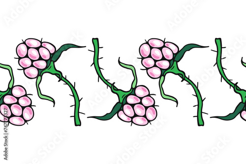 Small Pink Raspberries. Seamless banner. Design of candies and sweet dessert . Vector illustration.