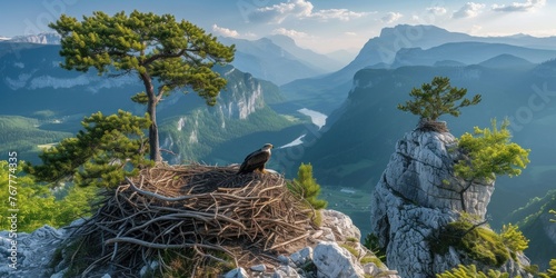 Wallpaper Mural Majestic Eagle With Chicks in Nest Amidst Snow-Capped Mountains at Dusk Torontodigital.ca