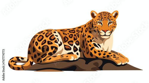 Leopard Flat vector isolated on white background 