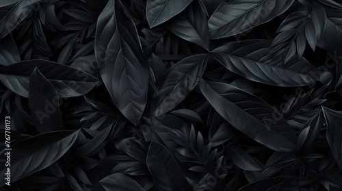 Textures of Abstract Black Leaves for Tropical