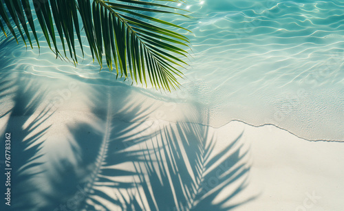 Tropical Tranquility: Palm Leaf Shadows on Water