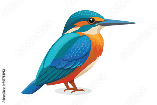 Kingfisher Bird vector illustration on white background.