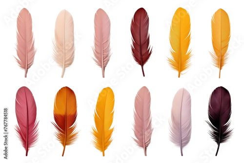 A Symphony of Plumes: Vibrant Feathers Dance on White Canvas. On a White or Clear Surface PNG Transparent Background. © Usama