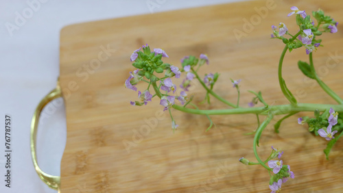 Green stem of radish plant, with small purplish flowers and buds.