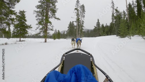 Dog sledding and racing through snowy mountains photo