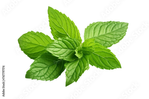 Emerald Beauty: A Lush Green Leaf Dancing on a Pure White Canvas. On a White or Clear Surface PNG Transparent Background.