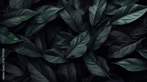 Abstract dark green surface of leaves natural floral background © Muhammad