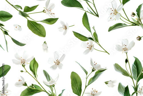 random flowers and leaves minimalistic simple seamless natural floral pattern isolated in a white background