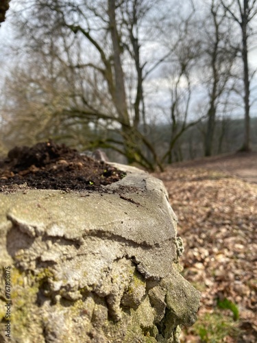 Wallpaper Mural a flower pot in the park Torontodigital.ca