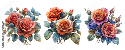  Red roses watercolor bouquet composition png transparent background