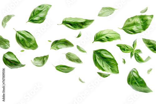 Close-up of fresh, green leaves isolated on a white background