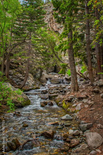 A lively creek meanders through a forested canyon, surrounded by rocks and diverse tree species