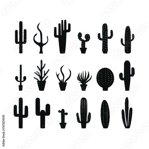 A collection of cactus plants in various shapes and sizes