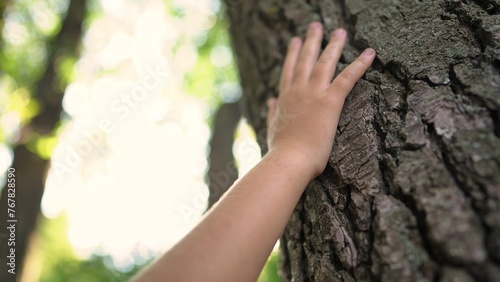 hand of a little ecologist child touches the trunk of a tree bark in a forest park. gentle touch of child on the trunk of a tree of life. Nature in caring hands: children protect the forest lifestyle