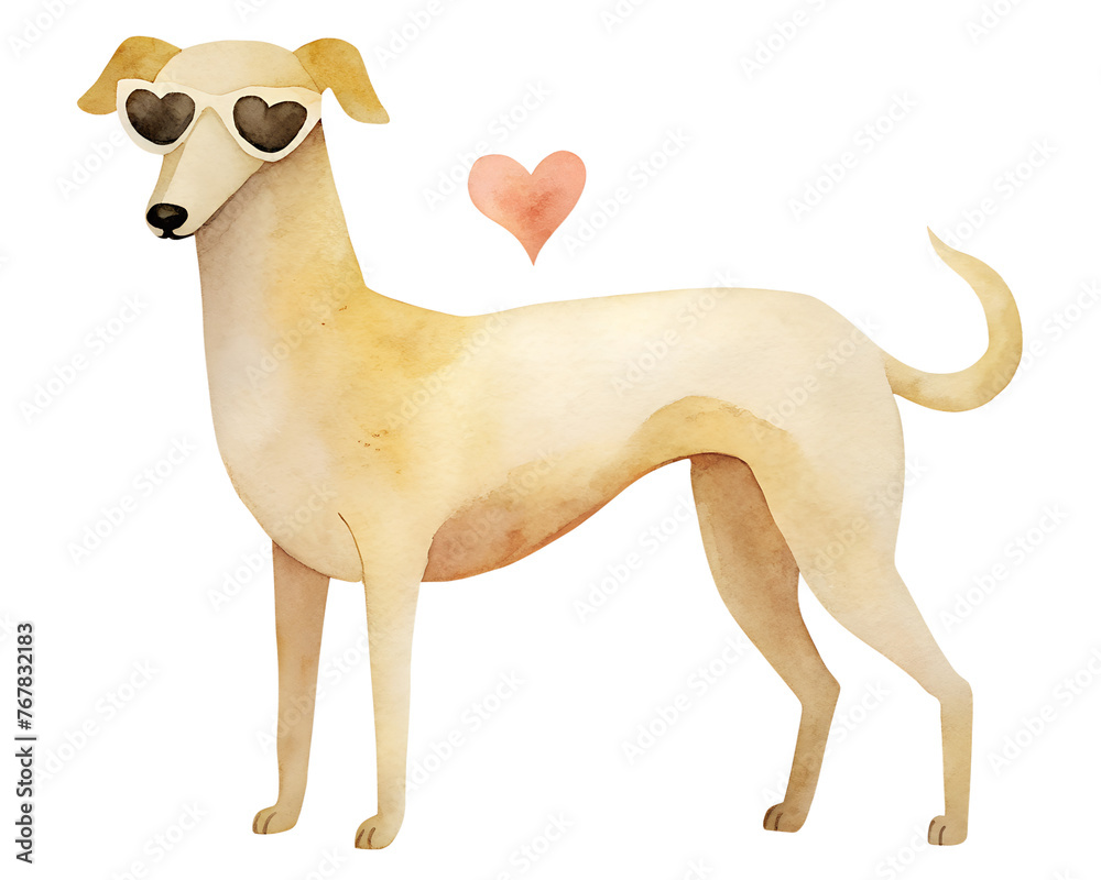 Watercolor illustration card with greyhound dog, heart. Isolated on transparent background. Perfect for flyer, card, postcard, tags, invitation, printing, wrapping, poster, banner.	