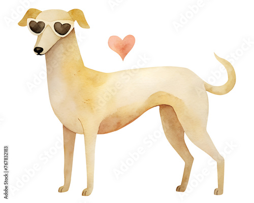 Watercolor illustration card with greyhound dog  heart. Isolated on transparent background. Perfect for flyer  card  postcard  tags  invitation  printing  wrapping  poster  banner. 