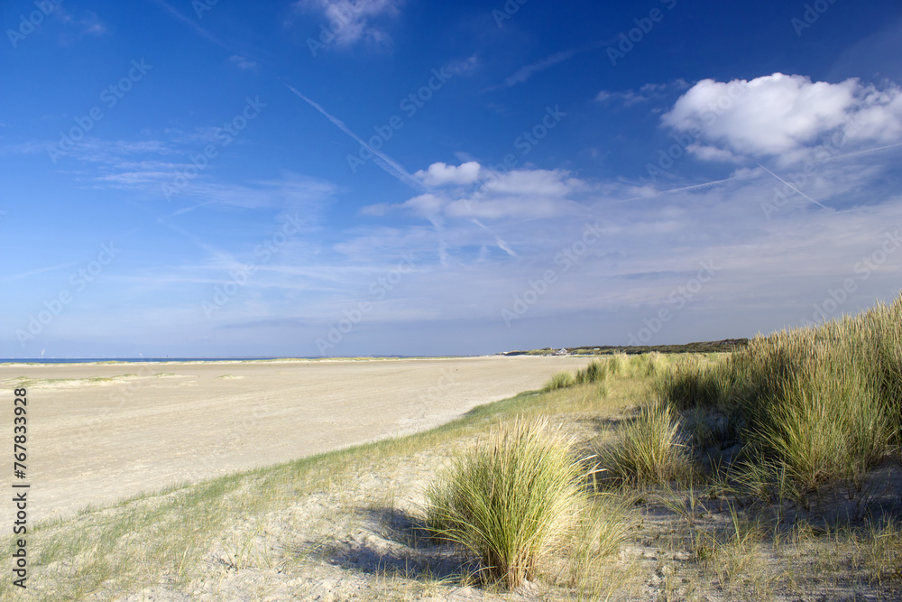Fototapeta premium The dunes landscape in the Netherlands