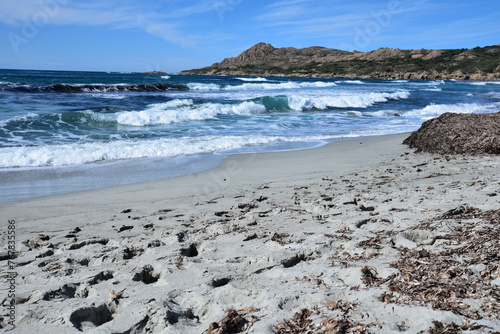 Vagues sur la plage de l'Ostriconi en Corse