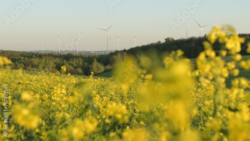 Wind farms on the hills behind blooming rapeseed in a farm field.