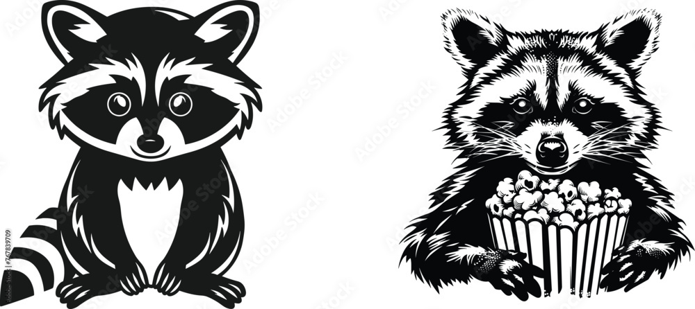 Fototapeta premium Set of raccoon, black silhouette, vector illustration.