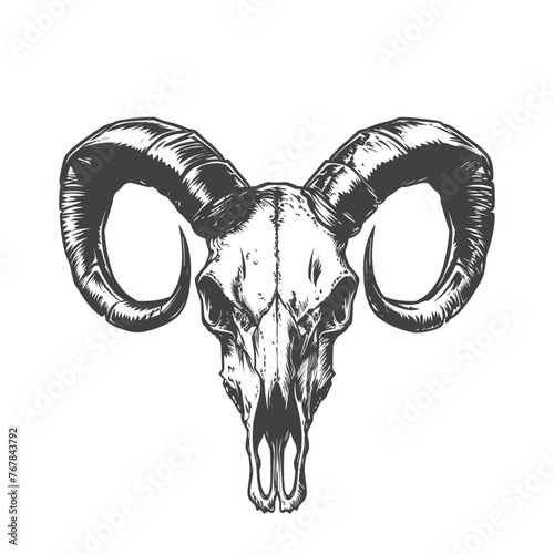 A detailed black and white illustration captures the stark beauty of a ram’s skull with majestic horns